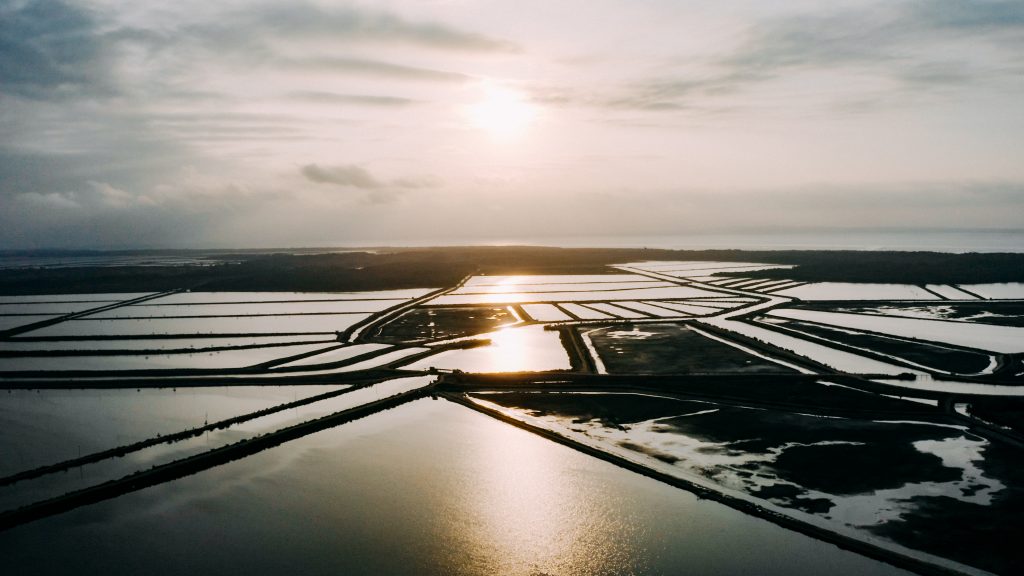 Nueva Pescanova built the world’s first intelligent aquafarm to better feed the fish and the world Nueva Pescanova built the world’s first intelligent aquafarm to better feed the fish and the world